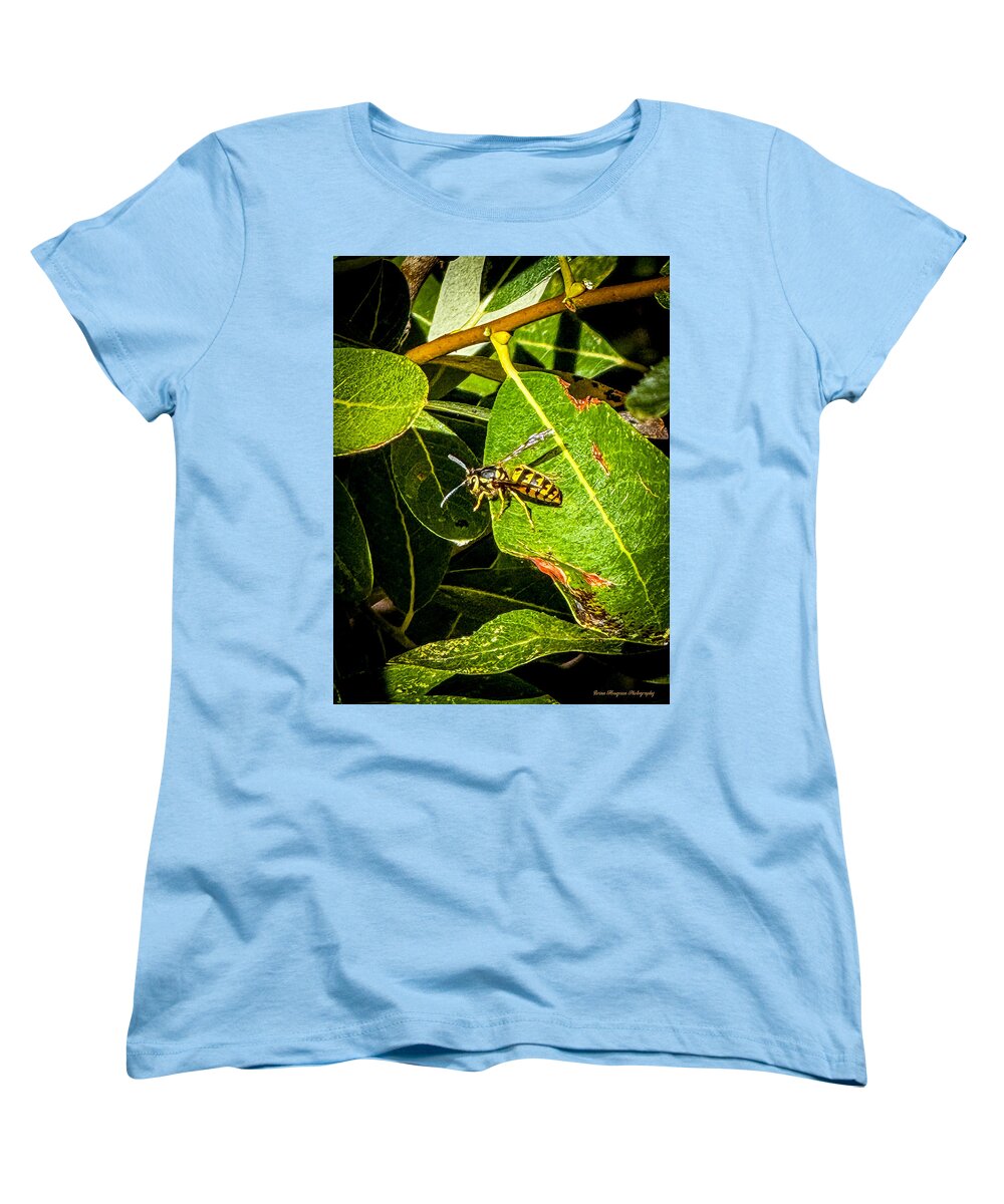 Yellow jacket  - Women's T-Shirt (Standard Fit)