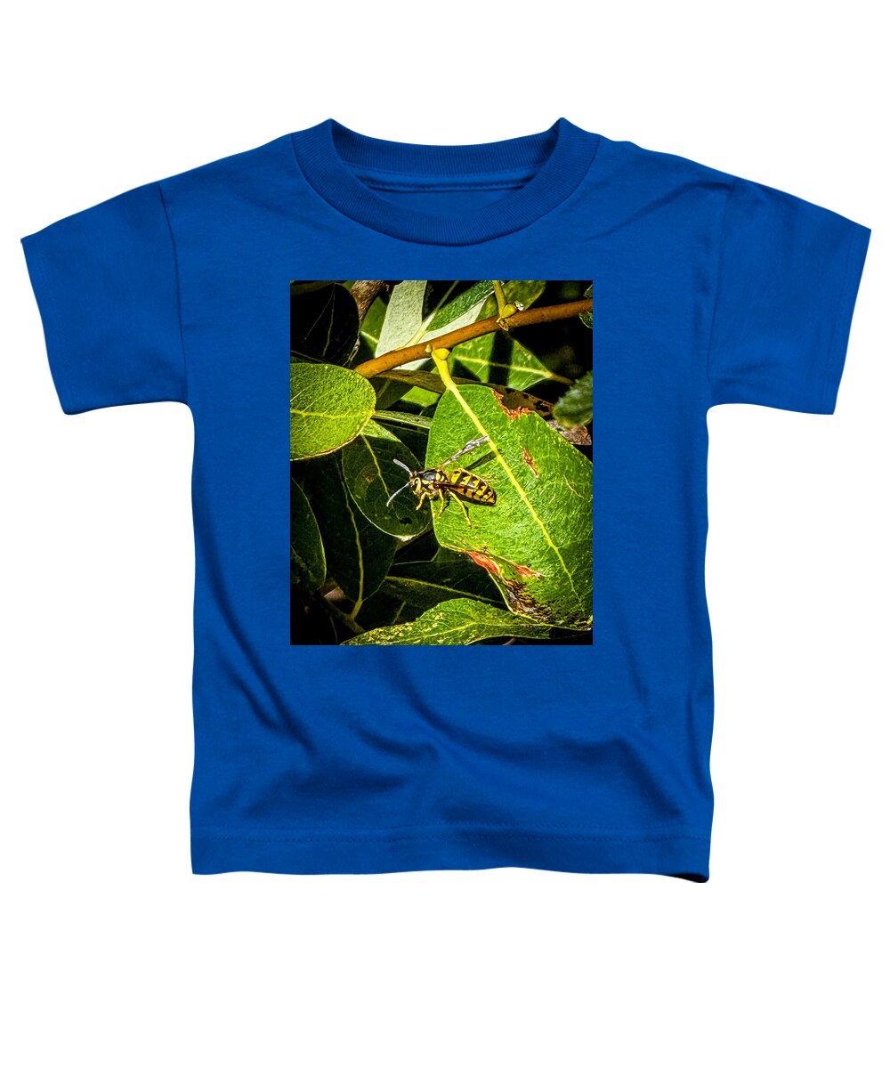Yellow jacket  - Toddler T-Shirt