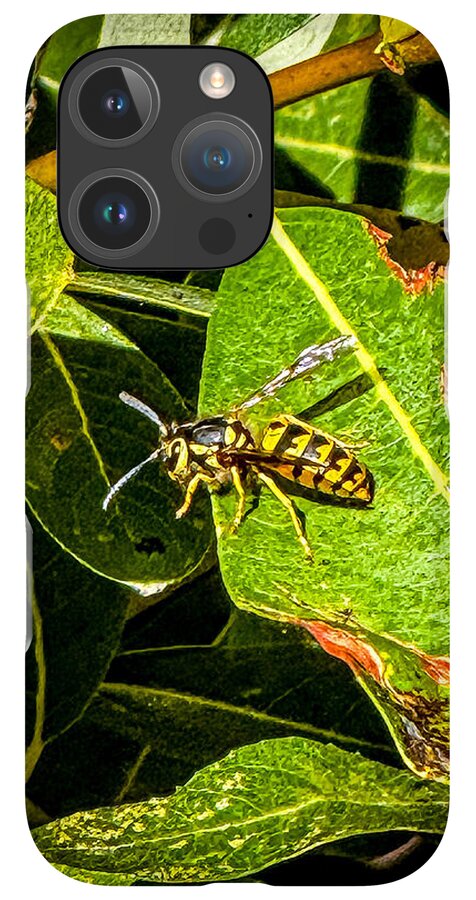 Yellow jacket  - Phone Case