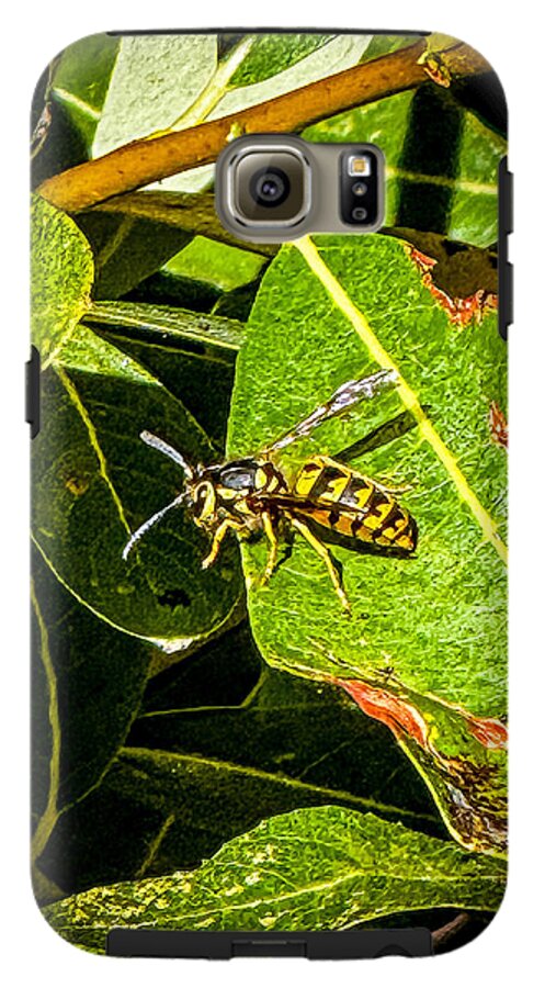 Yellow jacket  - Phone Case