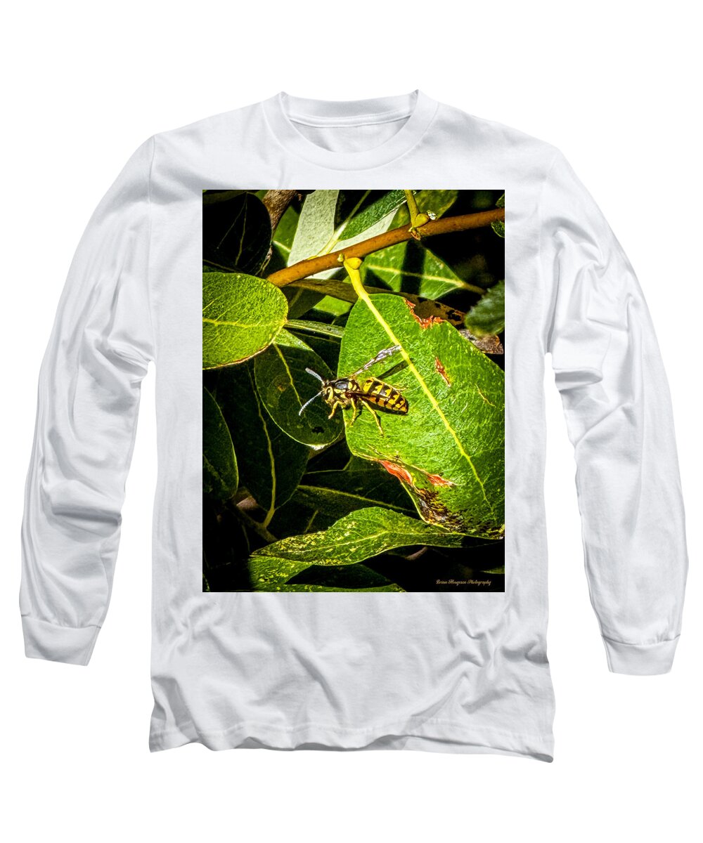 Yellow jacket  - Long Sleeve T-Shirt