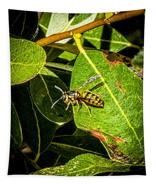 Yellow jacket  - Tapestry
