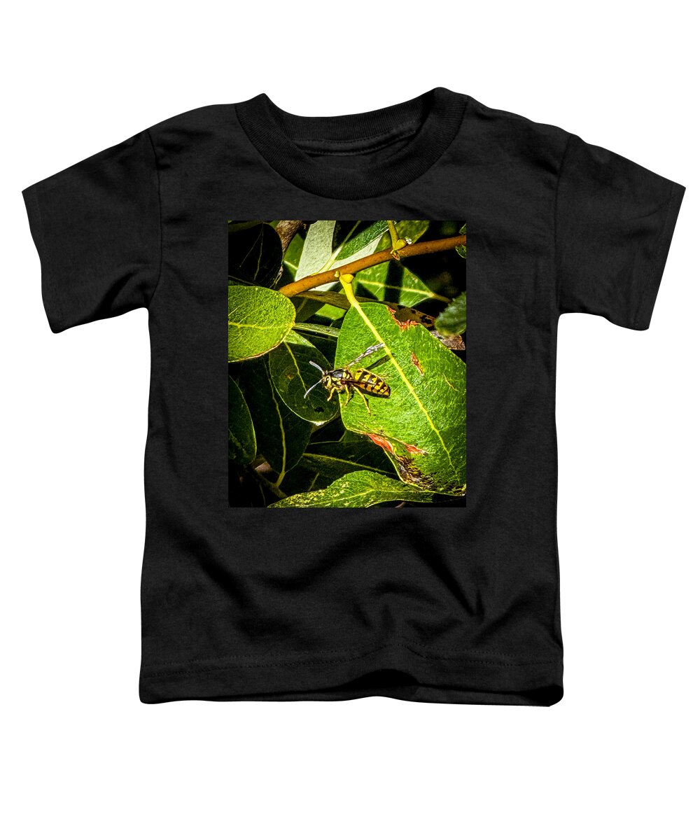 Yellow jacket  - Toddler T-Shirt