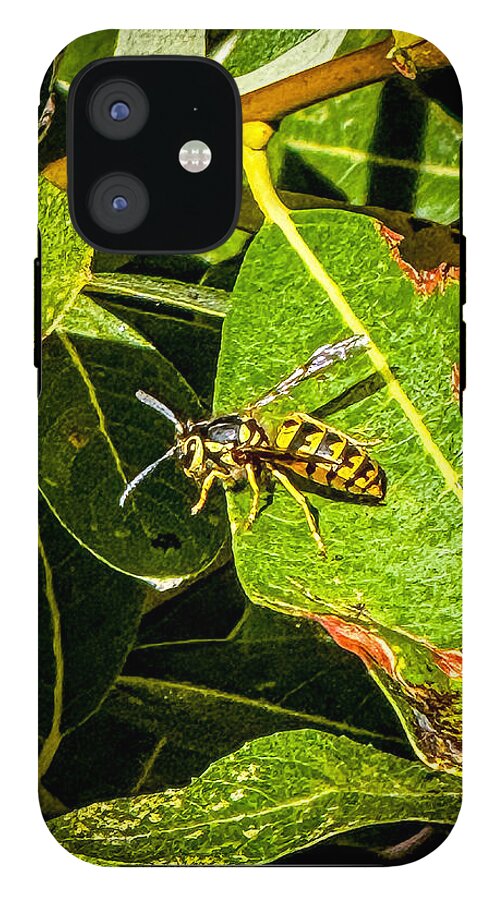 Yellow jacket  - Phone Case