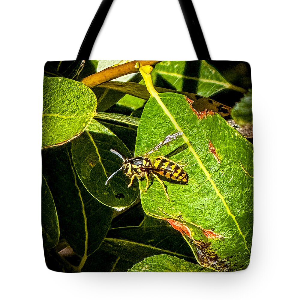 Yellow jacket  - Tote Bag