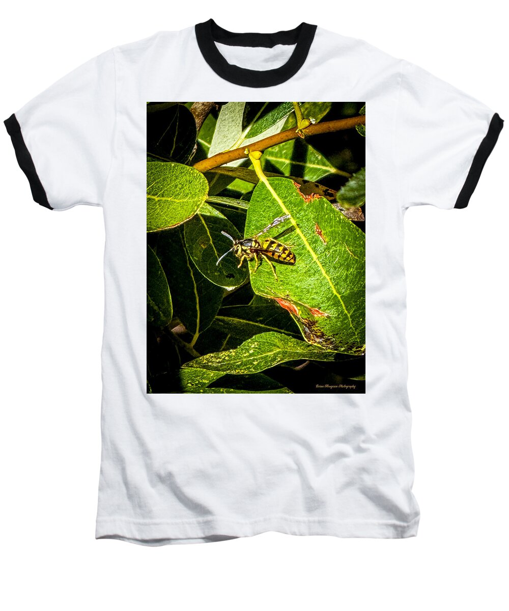 Yellow jacket  - Baseball T-Shirt
