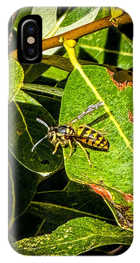 Yellow jacket  - Phone Case