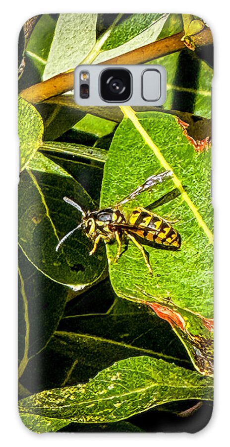 Yellow jacket  - Phone Case