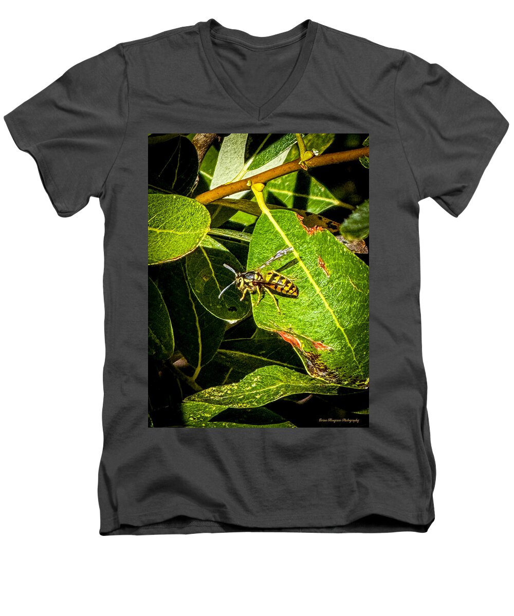 Yellow jacket  - Men's V-Neck T-Shirt