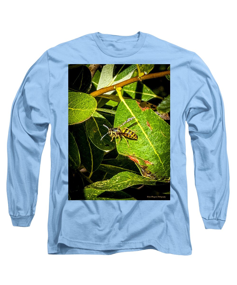 Yellow jacket  - Long Sleeve T-Shirt