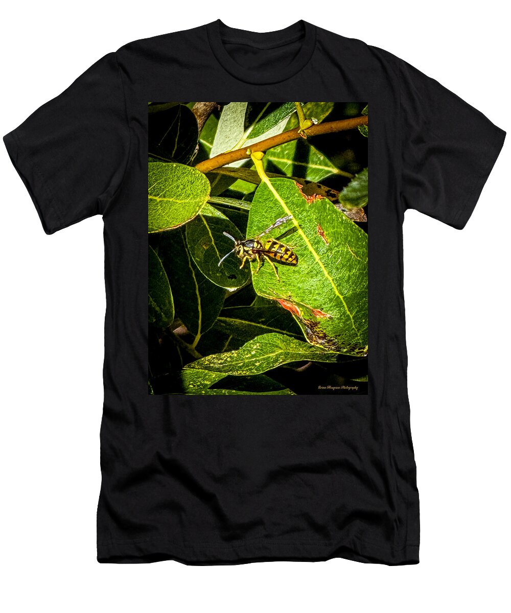 Yellow jacket  - T-Shirt
