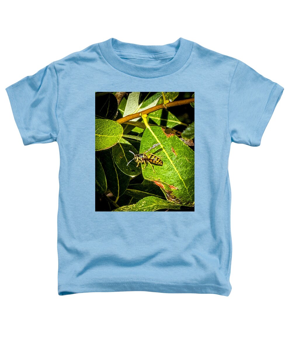 Yellow jacket  - Toddler T-Shirt