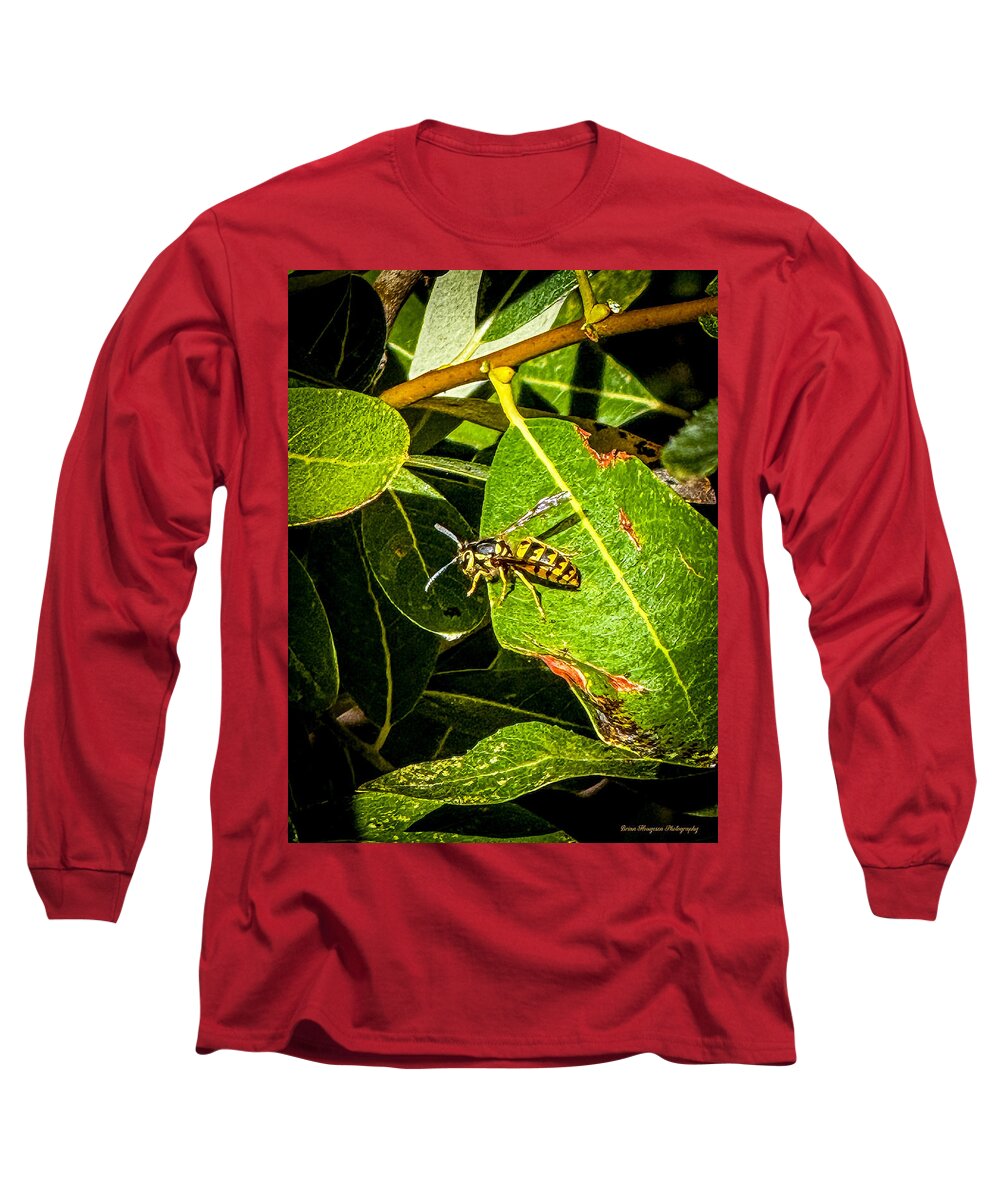 Yellow jacket  - Long Sleeve T-Shirt