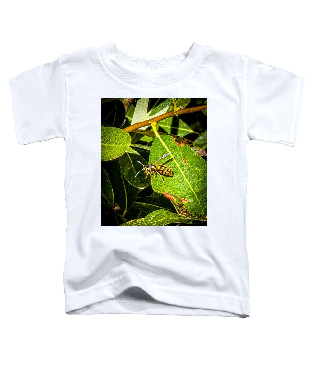 Yellow jacket  - Toddler T-Shirt