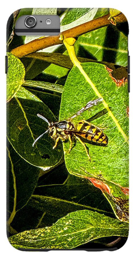 Yellow jacket  - Phone Case