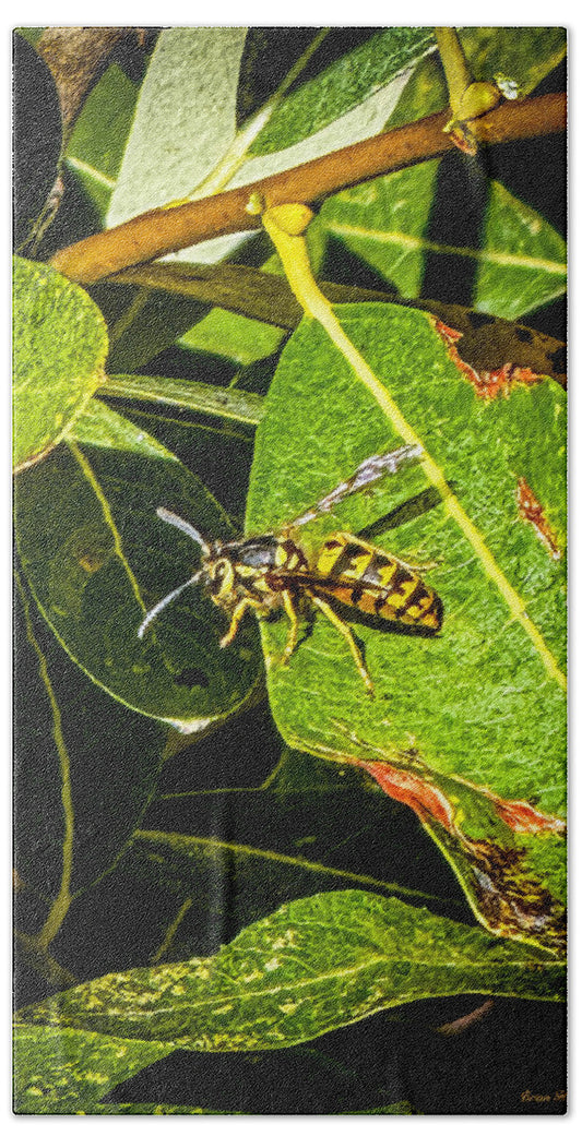 Yellow jacket  - Beach Towel