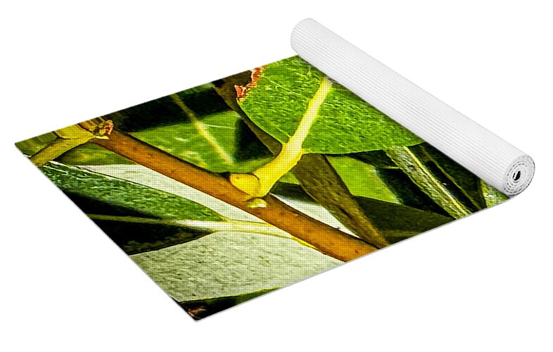 Yellow jacket  - Yoga Mat