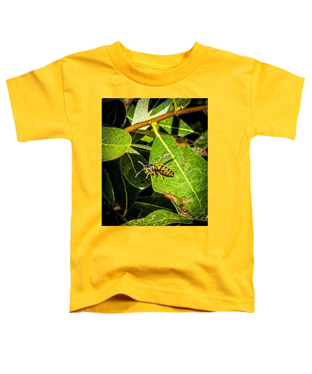 Yellow jacket  - Toddler T-Shirt