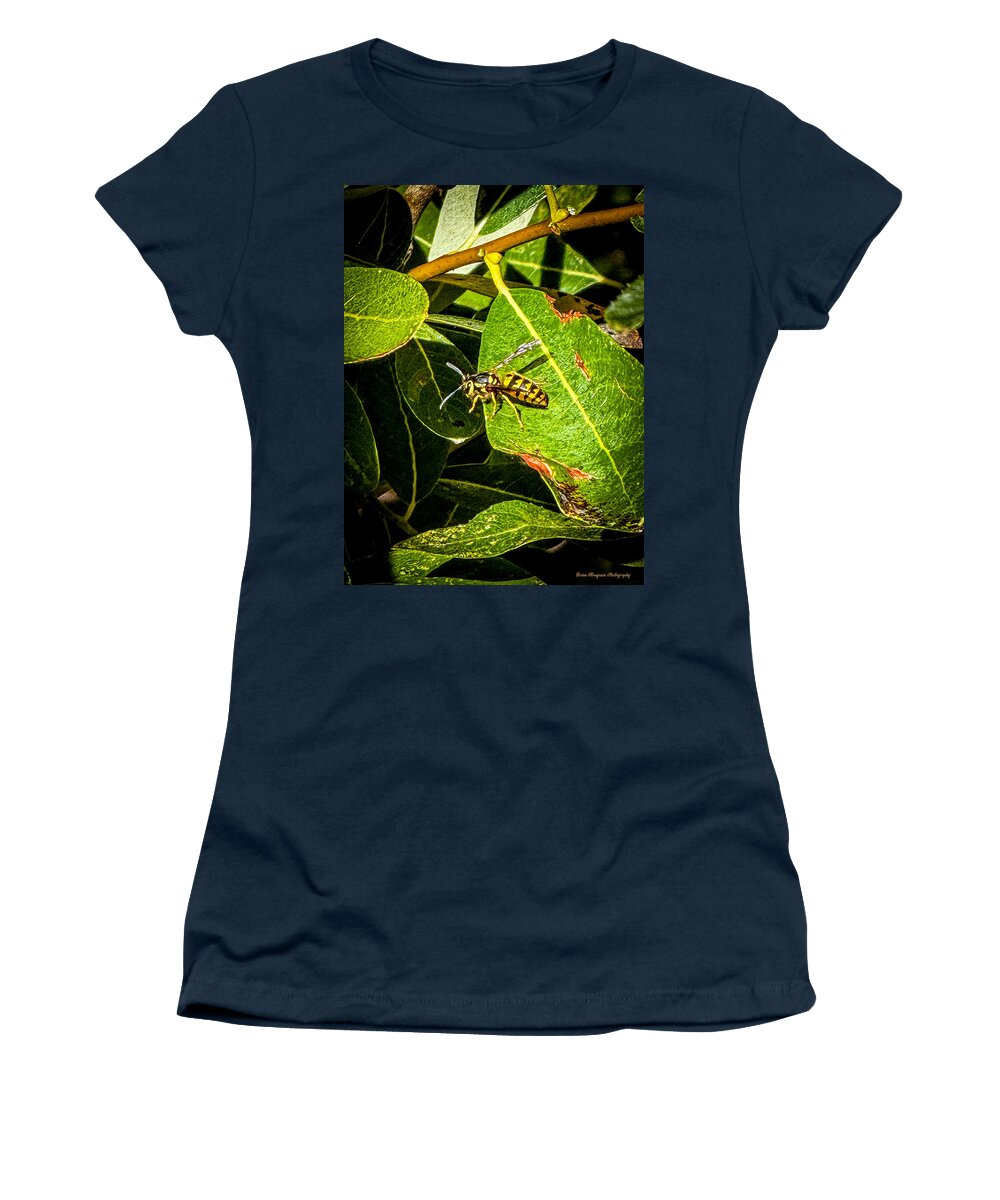 Yellow jacket  - Women's T-Shirt
