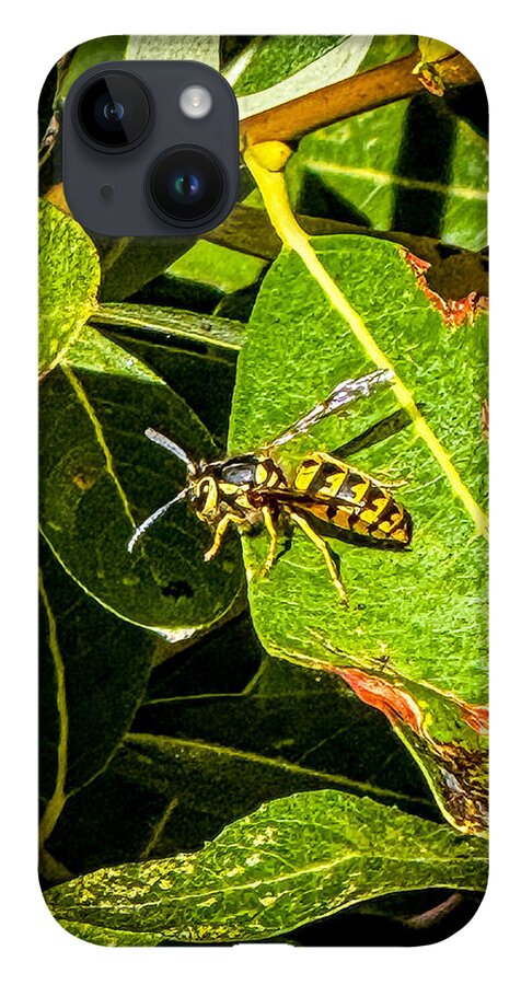 Yellow jacket  - Phone Case