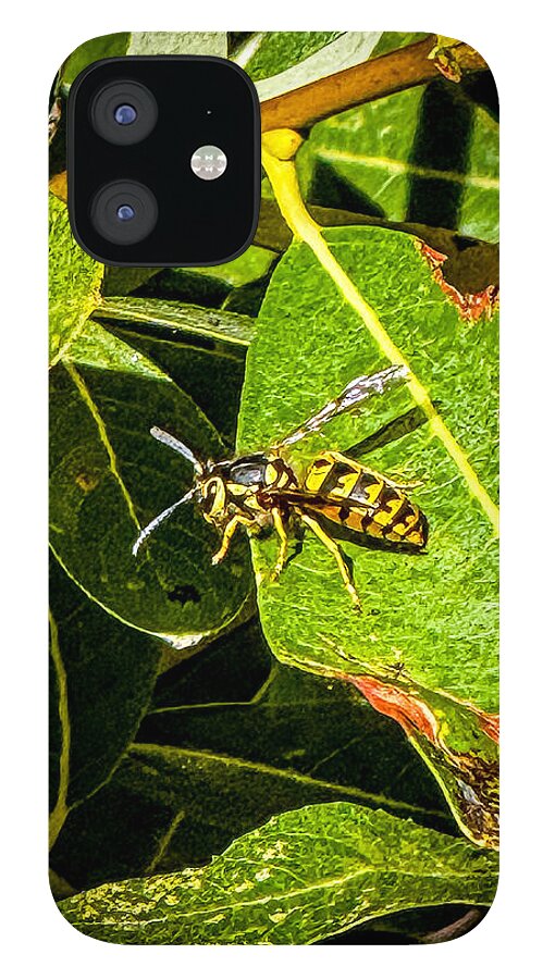 Yellow jacket  - Phone Case