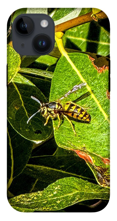 Yellow jacket  - Phone Case