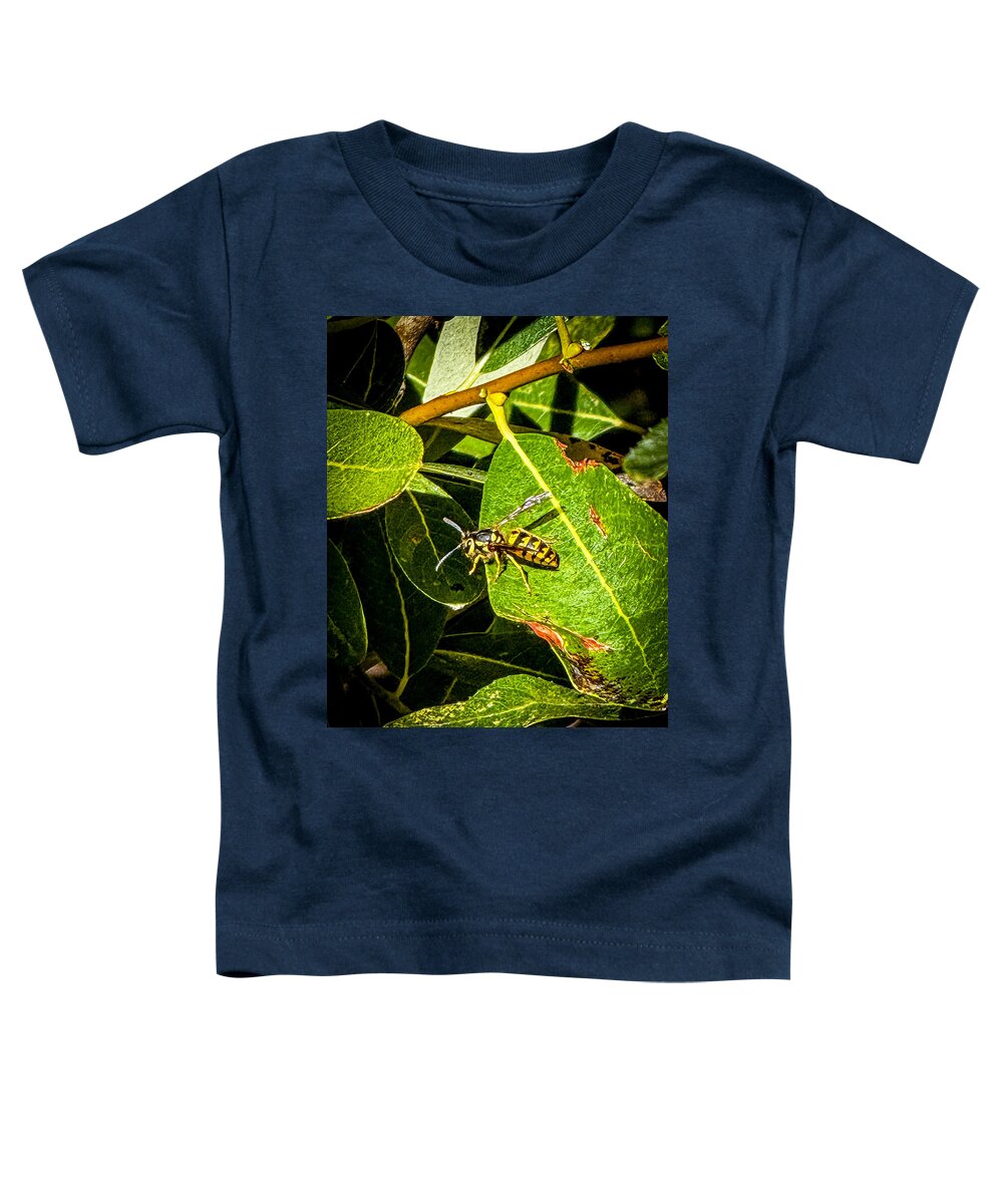 Yellow jacket  - Toddler T-Shirt