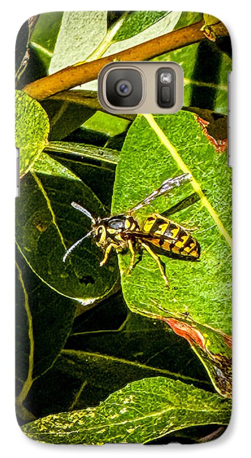 Yellow jacket  - Phone Case