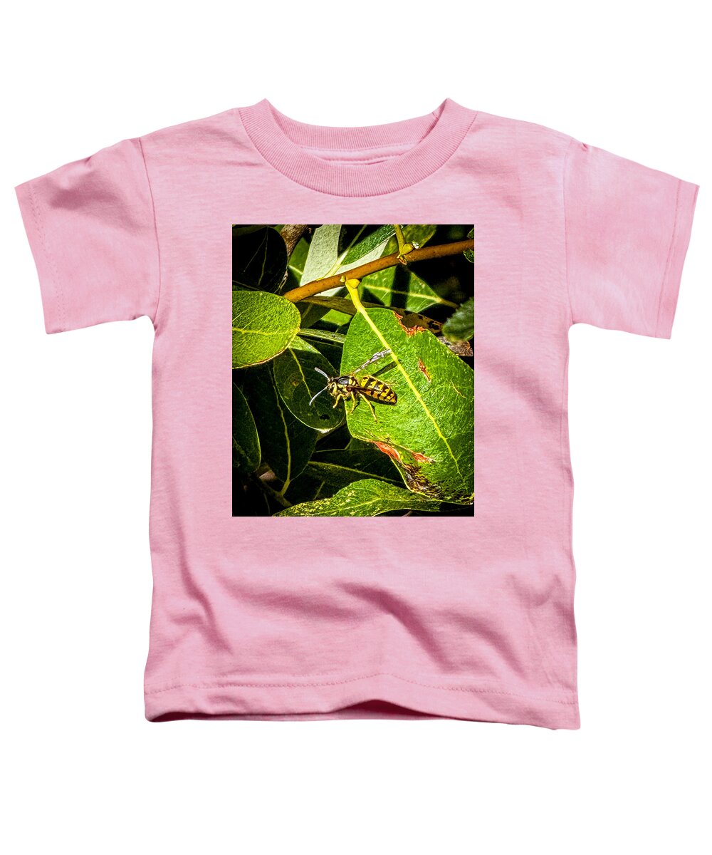 Yellow jacket  - Toddler T-Shirt