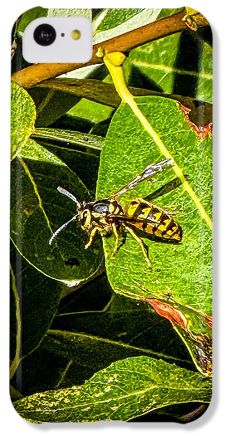 Yellow jacket  - Phone Case