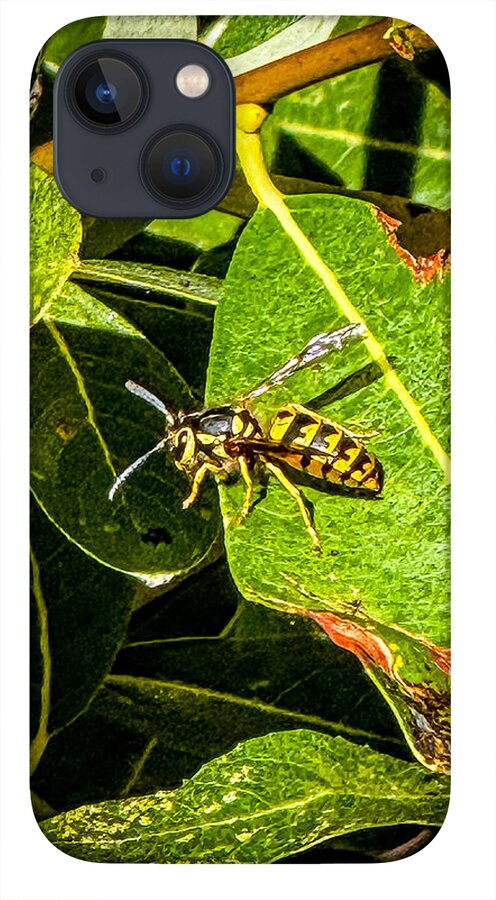 Yellow jacket  - Phone Case