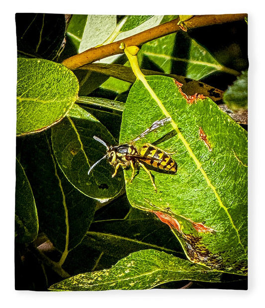 Yellow jacket  - Blanket