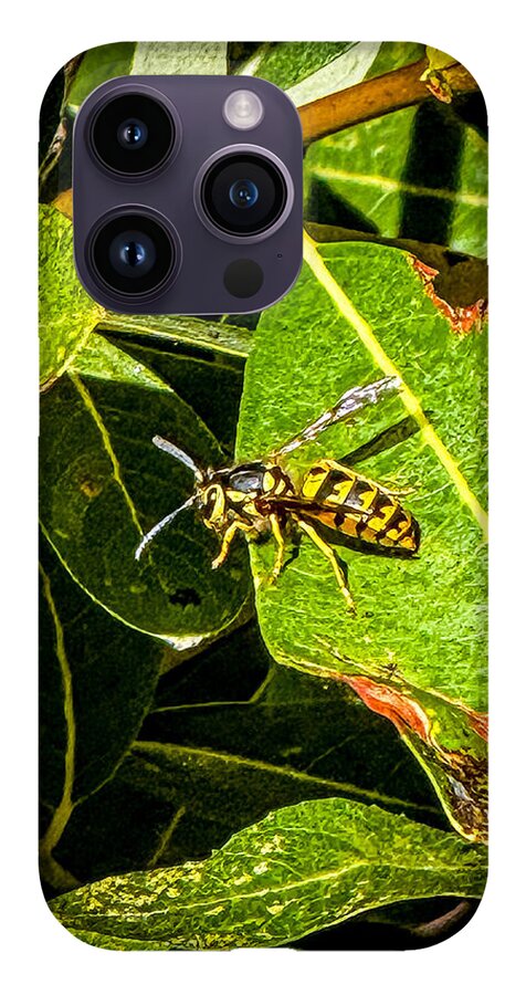 Yellow jacket  - Phone Case