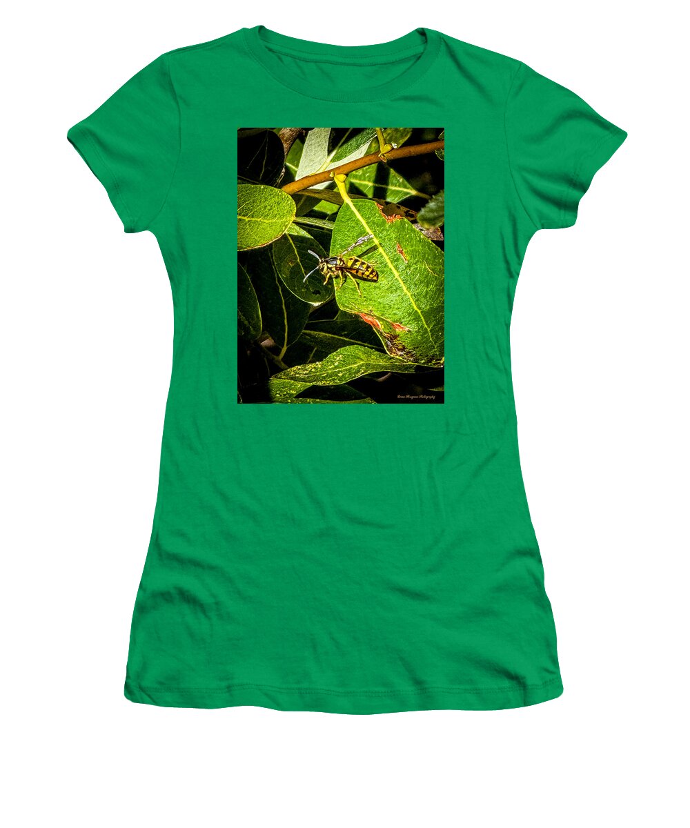 Yellow jacket  - Women's T-Shirt