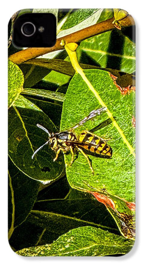 Yellow jacket  - Phone Case