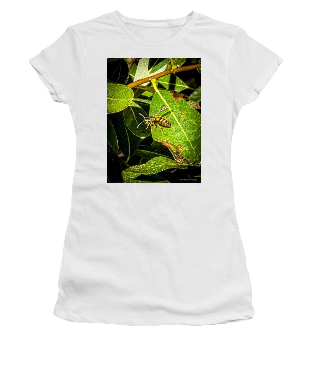 Yellow jacket  - Women's T-Shirt
