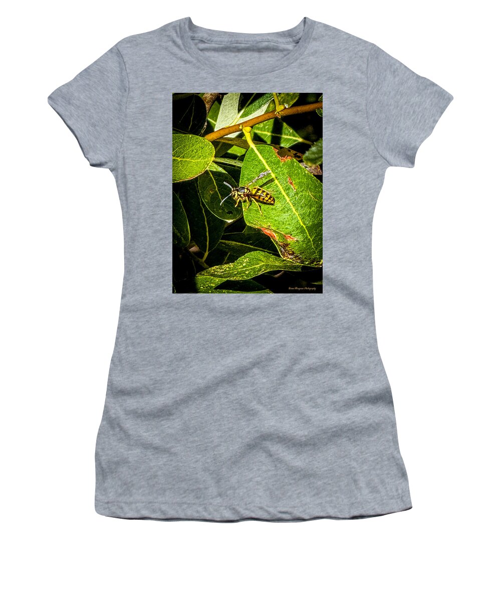 Yellow jacket  - Women's T-Shirt