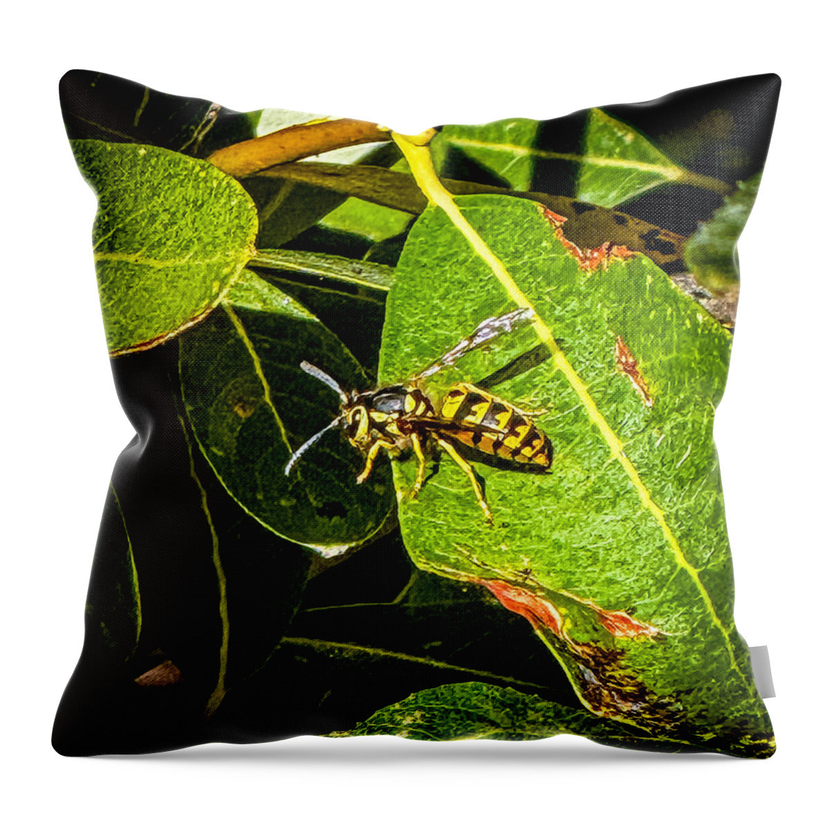 Yellow jacket  - Throw Pillow