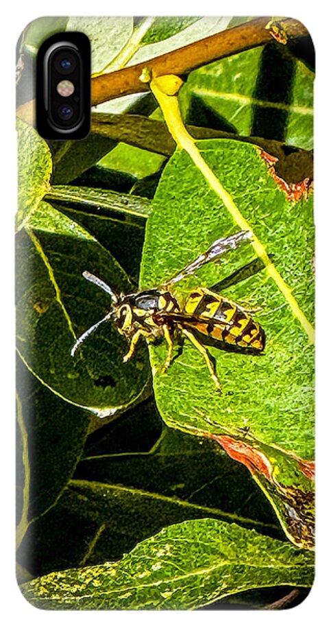 Yellow jacket  - Phone Case