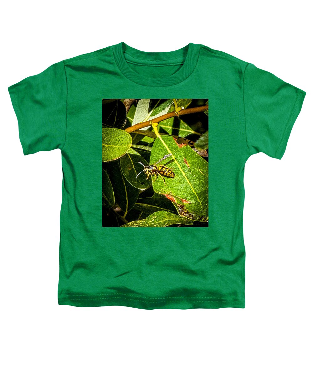 Yellow jacket  - Toddler T-Shirt