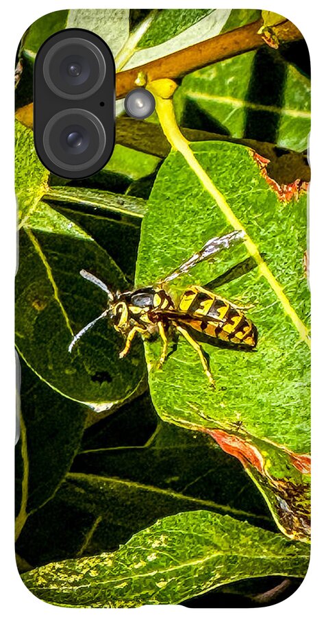 Yellow jacket  - Phone Case