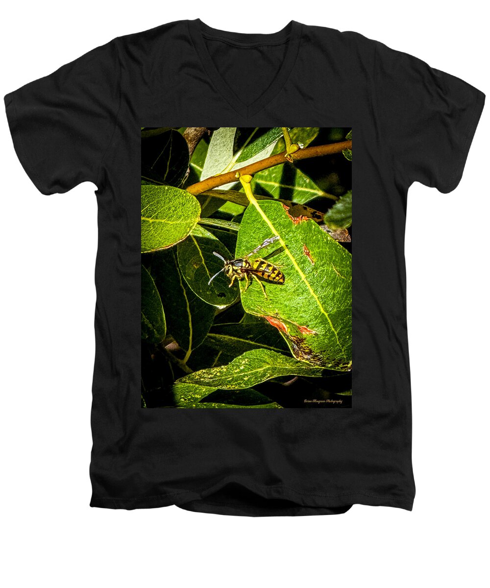 Yellow jacket  - Men's V-Neck T-Shirt