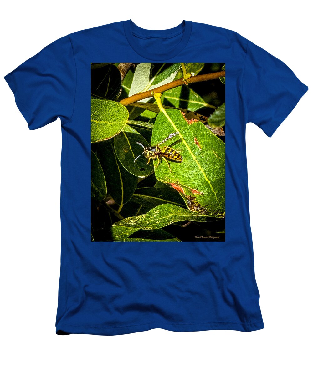 Yellow jacket  - T-Shirt