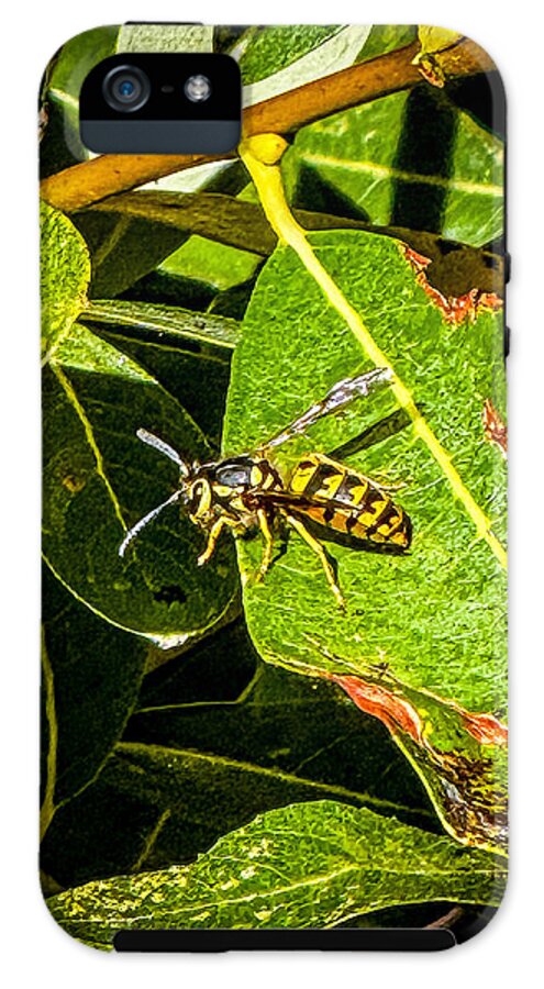 Yellow jacket  - Phone Case