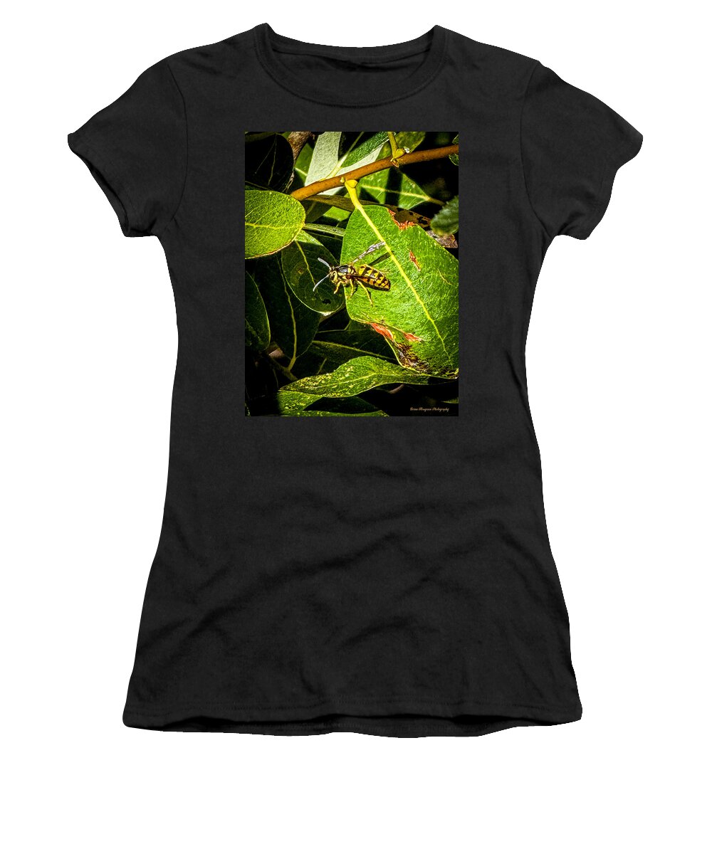 Yellow jacket  - Women's T-Shirt