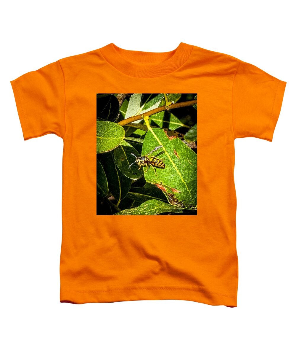 Yellow jacket  - Toddler T-Shirt