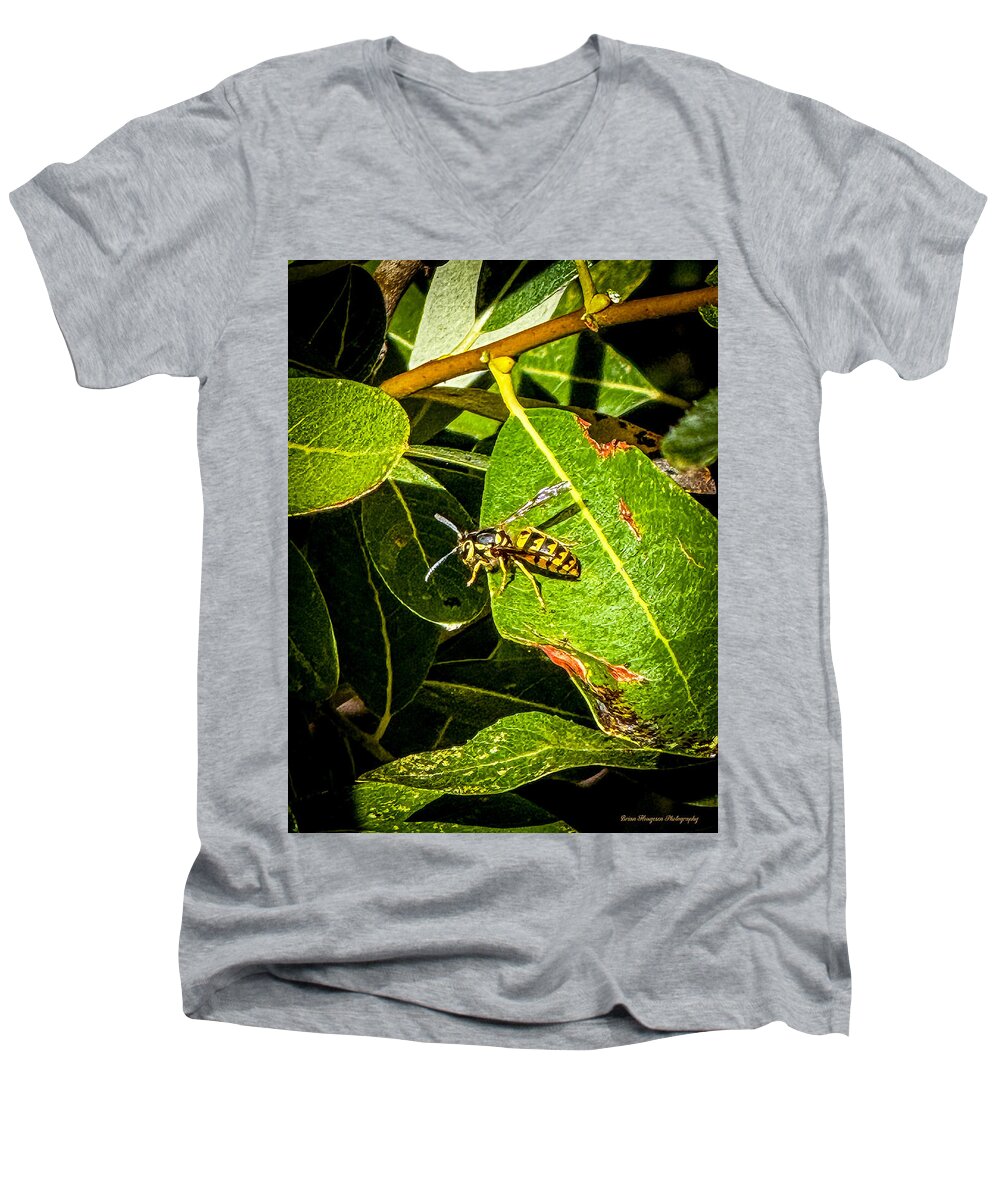 Yellow jacket  - Men's V-Neck T-Shirt