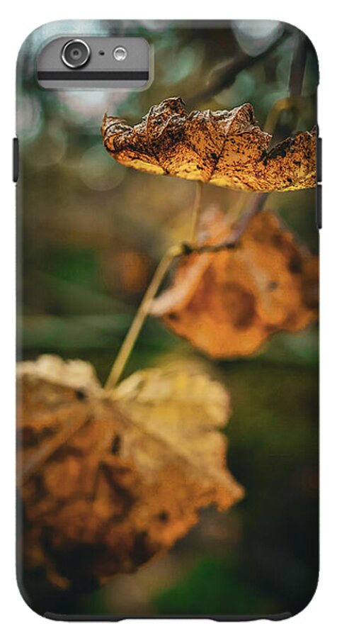 Yellow leaves  - Phone Case