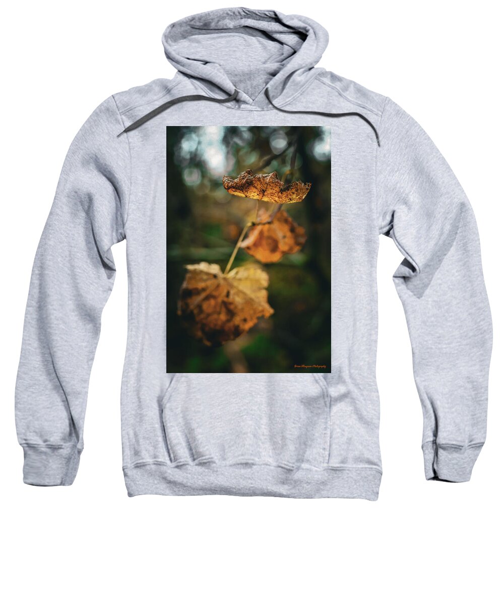 Yellow leaves  - Sweatshirt