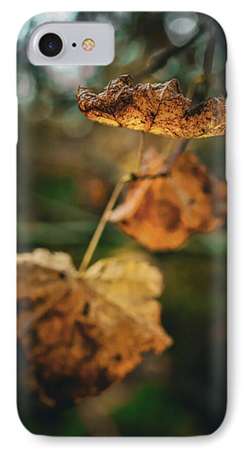 Yellow leaves  - Phone Case